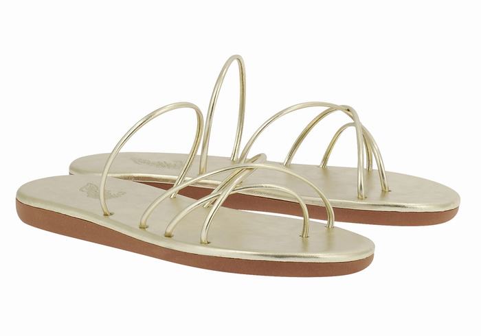 Sandales à Glissière Ancient Greek Sandals Pu   | ZUK-6343381